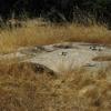 Historic Quail Guzzler, San Diego County