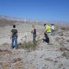 Interns, Imperial Valley