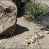 Astronomical Marker, San Diego County