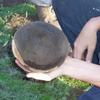 Tizon Brownware Bowl, San Diego County